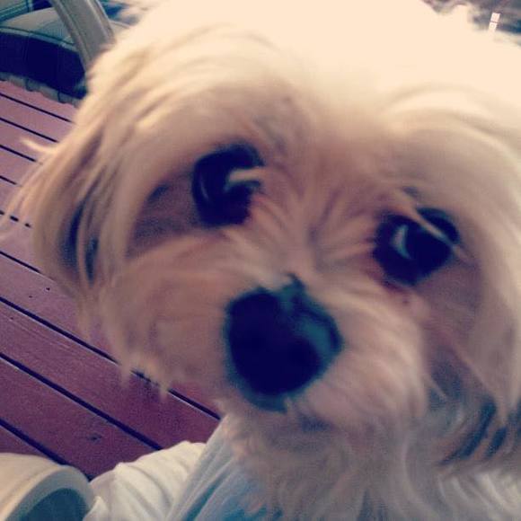 Meet your Posher, Susan - Picture 1 of 1